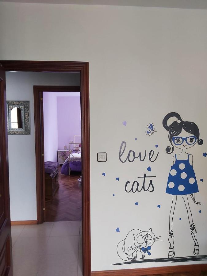Jalepa Apartment Muxia Bagian luar foto